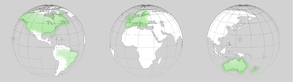 Vérification balise chargée