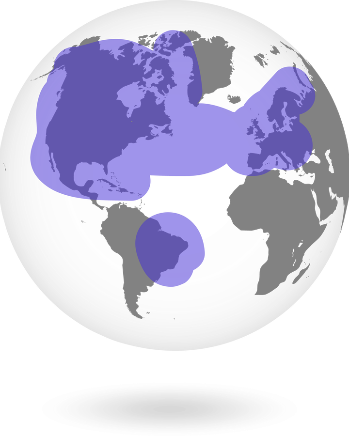 Couverture réseau cellulaire et satellite